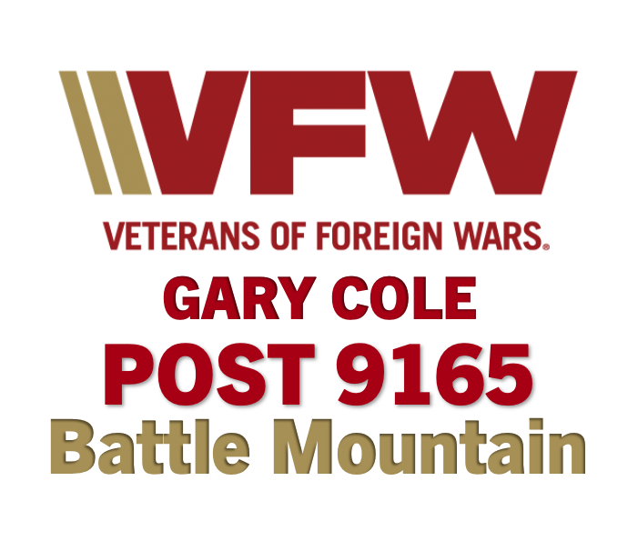 vfw 9165